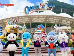 Ocean Park: Taman Hiburan dan Akuarium Terbesar di Asia