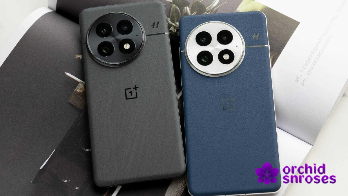 OnePlus 13