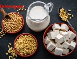 Manfaat Susu Kedelai: Alternatif Sehat dan Lezat untuk Gaya Hidup Modern