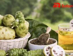 Manfaat Buah Mengkudu: Si Buah Bau yang Kaya Khasiat