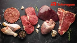 Diet Karnivor: Fokus pada Protein Hewani untuk Kesehatan