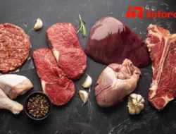 Diet Karnivor: Fokus pada Protein Hewani untuk Kesehatan