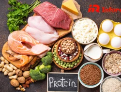 Nutrisi Endurance: Kunci Performa Atlet Daya Tahan