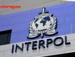 INTERPOL: Fungsi & Perannya dalam Kepolisian Internasional